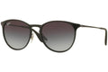 Ray-Ban Erika RB4171 622/T3 Polarized – Matte Black Grey Gradient Polarized