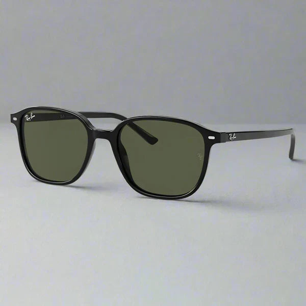 Ray-Ban Leonard RB2193 901/31 – Black Green