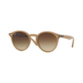 Ray-Ban Bernard RB2230 616613 – Transparent Brown Brown